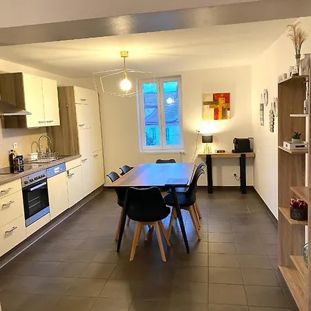 Apartment Duplex Moderne A 10 Minutes De Colmar *