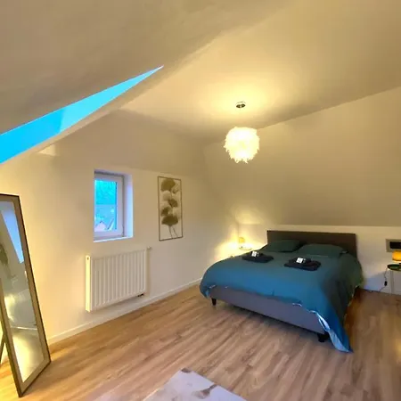 Duplex Moderne à 10 Minutes De Colmar Apartamento *