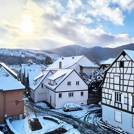 Duplex Moderne A 10 Minutes De Colmar