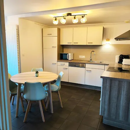 Duplex Moderne à 10 Minutes De Colmar *