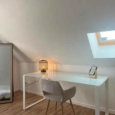 Duplex Moderne à 10 Minutes De Colmar Wintzenheim