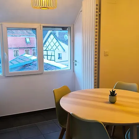 Duplex Moderne à 10 Minutes De Colmar Apartamento