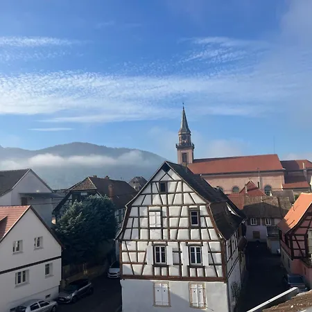 아파트 Duplex Moderne A 10 Minutes De Colmar