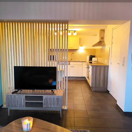 Duplex Moderne à 10 Minutes De Colmar