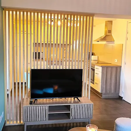 Duplex Moderne A 10 Minutes De Colmar *