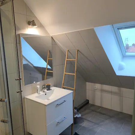 Duplex Moderne A 10 Minutes De Colmar Apartment